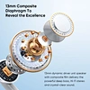 ANC Earbuds